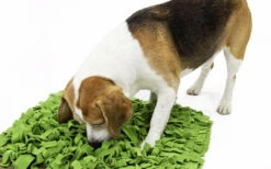 Beschäftigungsspielzeug Schnüffelrasen Grün (Knauders Best) -Hundespielzeugladen beschaeftigungsspielzeug hundespielzeug schnueffelrasen gruen knauders best 03