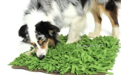 Beschäftigungsspielzeug Schnüffelrasen Grün (Knauders Best) -Hundespielzeugladen beschaeftigungsspielzeug hundespielzeug schnueffelrasen gruen knauders best 05