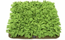 Beschäftigungsspielzeug Schnüffelrasen Grün (Knauders Best)