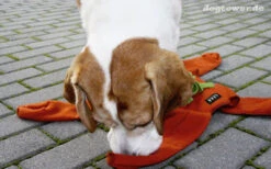 Beschäftigungsspielzeug Sniffstar, Herbstlaub (Knauders Best)