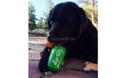 Hundepielzeug Can Toy Magnum -Hundespielzeugladen hundespielzeug can toy 3 1