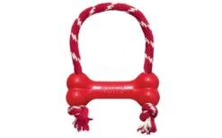 KONG Goodie Bone Mit Seil