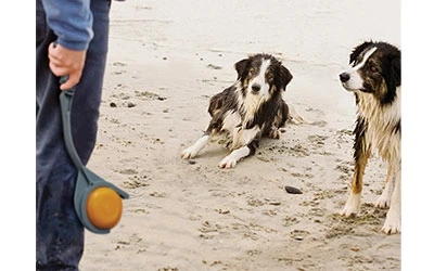 Kurgo Winga Zusatz- Discs 4 Kurgo Winga Zusatz- Discs – Bild 4