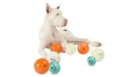 Planet Dog Hundeball Ringo -Hundespielzeugladen planetdog orbee tuff cosmos gruppe2