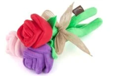 P.L.A.Y. Pet Lifestyle And You Puppy Love Rover's Rose
