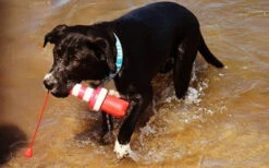 Rogz Wurf- Und Wasserspielzeug Lighthouse